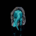 Buchstütze Dinosaurier T-Rex – 3D-Druck aus Deutschland