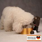 Fressnapf für Hunde und Katzen Butler – 3D Druck Made in Germany