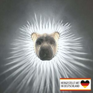 Löwenkopf Wandlampe mit strahlenförmigem weißem Lichteffekt an der Wand