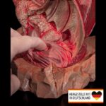 Luftbefeuchter Drache - Handbemalte Kunst