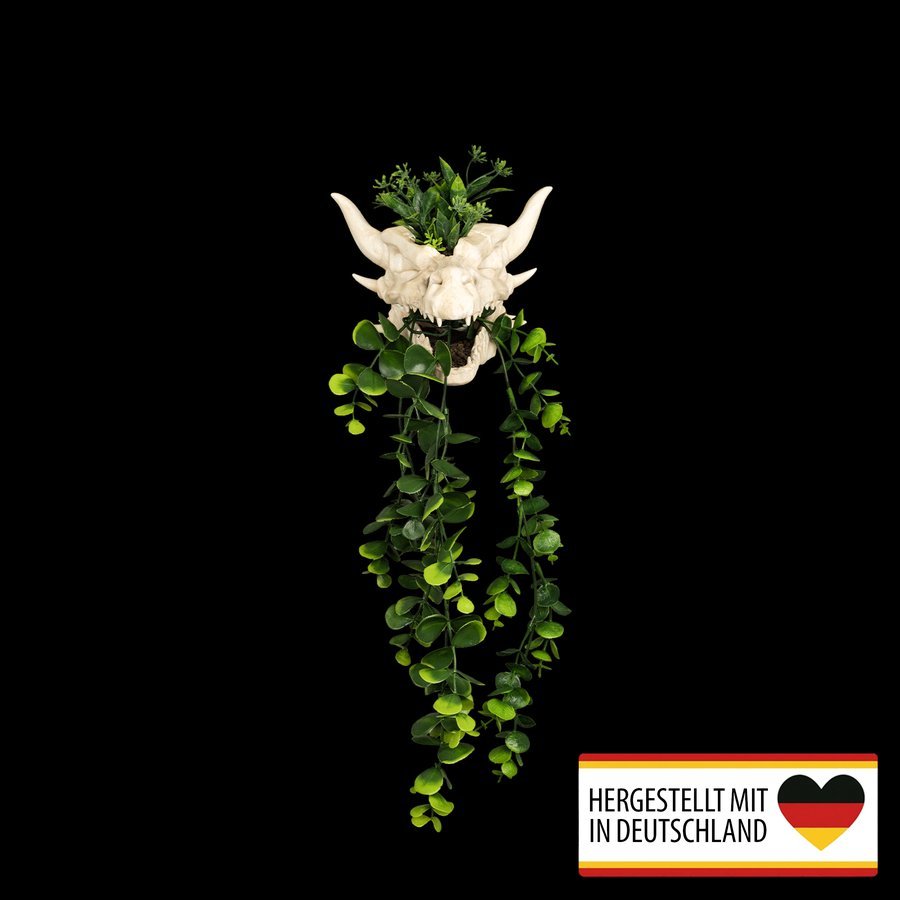 Dekorativer Pflanztopf in Drachenschädel-Form an der Wand