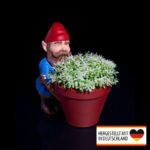 Pflanztopf Gartenzwerg - Kreative Gartendekoration