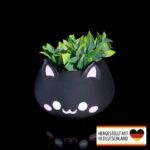 Pflanztopf Katzenkopf - Kreative Deko für dein Zuhause