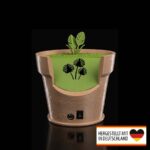 Tischlampe „Monstera“ Wandlicht – 3D-Druck Made in Germany