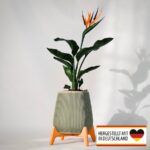 Vase Freya - Elegantes Designhighlight für Dein Zuhause