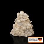 Totenkopf Handyhalter Totenkopf Thron - Majestätischer Blickfang für dein Handy